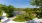 a road with trees and a body of water in the background