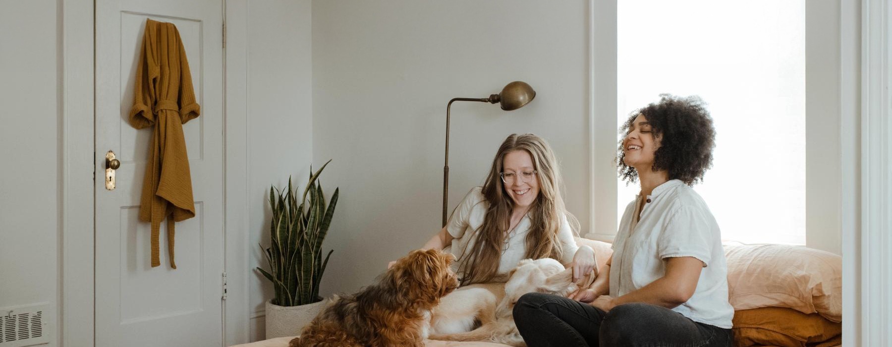 a person and a dog sitting on a bed