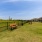 a grassy field with benches